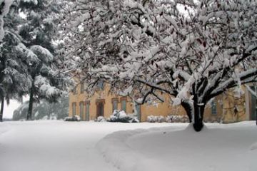 Villa del Castello di Casalino - Arbusti innevati (Ft. E. Fregonara)