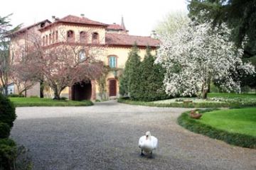Castello di Casalino - Viali e Giardino