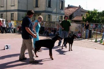 Raduno Nazionale Razza Alana
