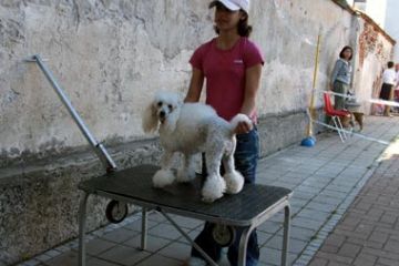 Raduno Nazionale Razza Alana