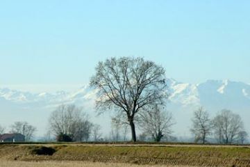 Ambiente Invernale Terreni dedicati a Culture